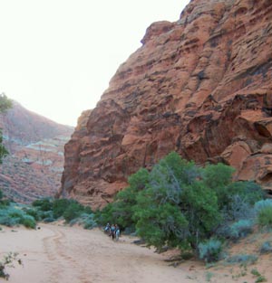 Snow Canyon Trail Rides