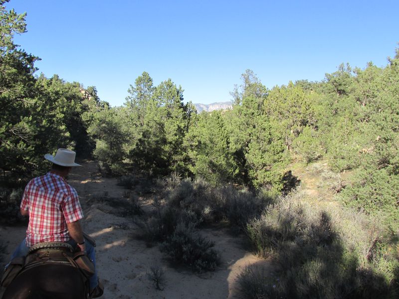 Snow Canyon Trail Rides